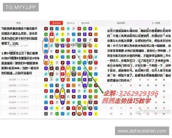 极速飞艇玩法规则与技巧全解析,快速赢取大奖的秘诀分享 极速飞艇玩法规则与技巧全解析,快速赢取大奖的秘诀分享