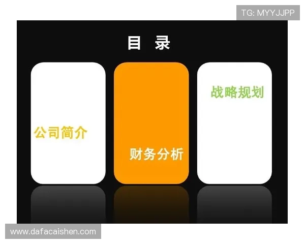 普鲁士多特蒙德股份有限公司战略发展与市场竞争分析报告