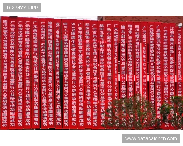 十一选五公益活动新模式探索与社会责任实践创新策略